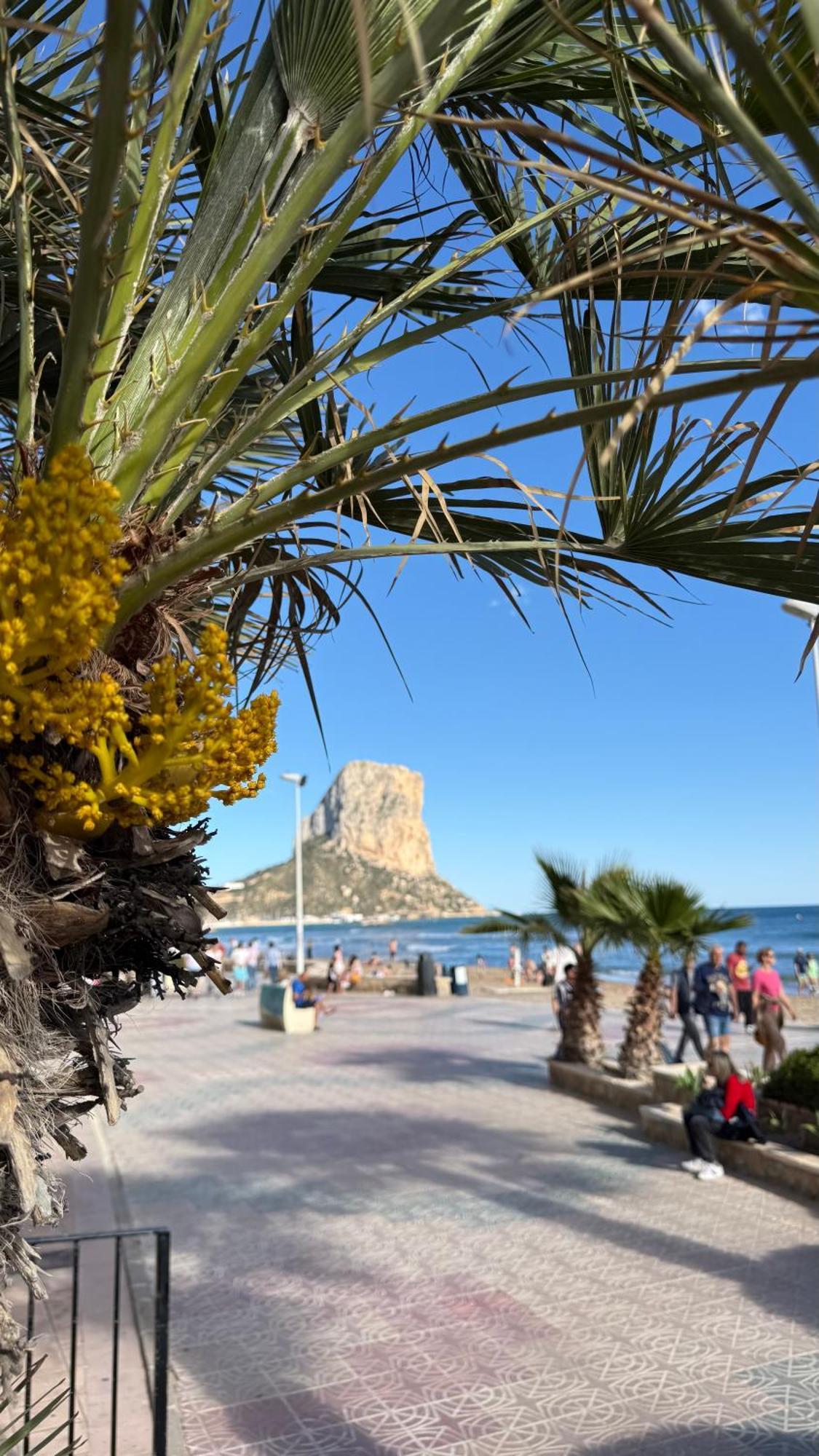 Esmeralda Suites Sunrise Con Piscina Calpe Exterior foto