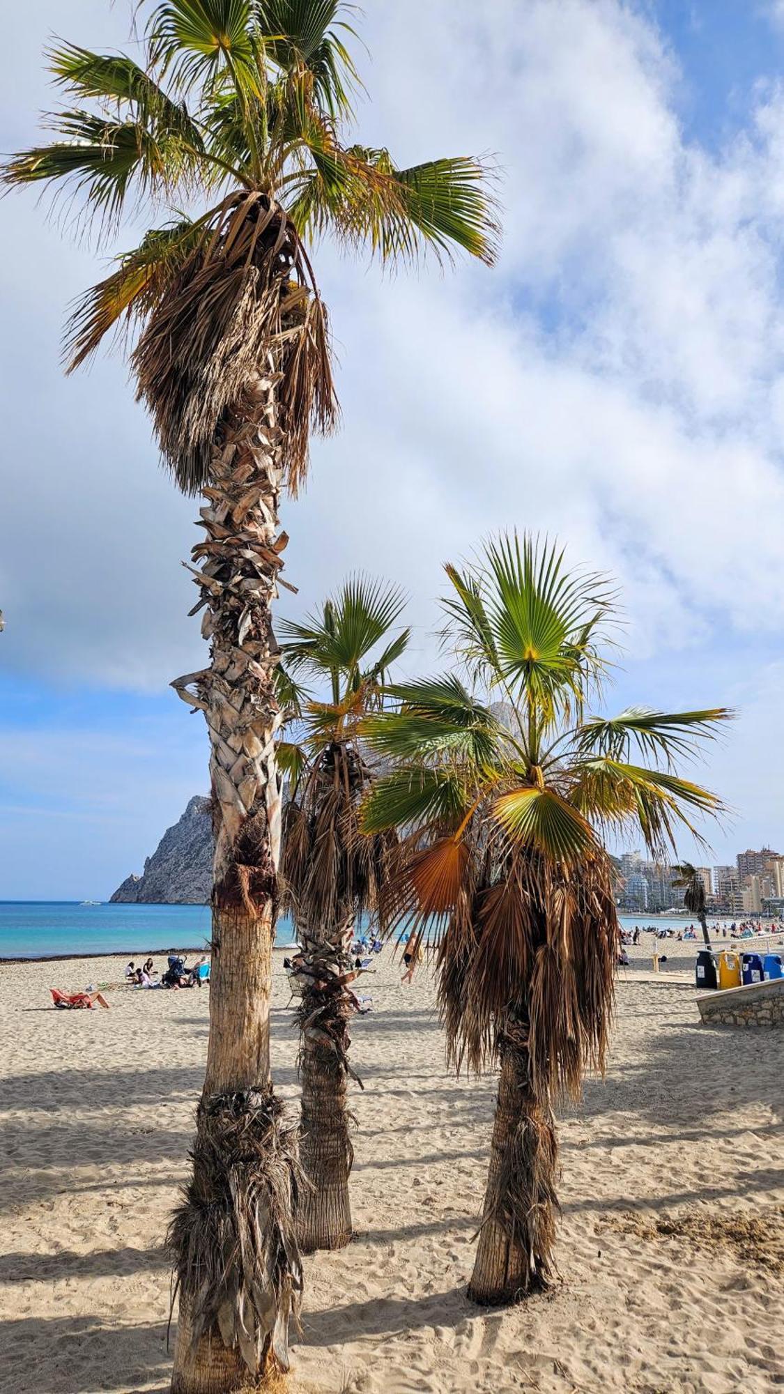 Esmeralda Suites Sunrise Con Piscina Calpe Exterior foto